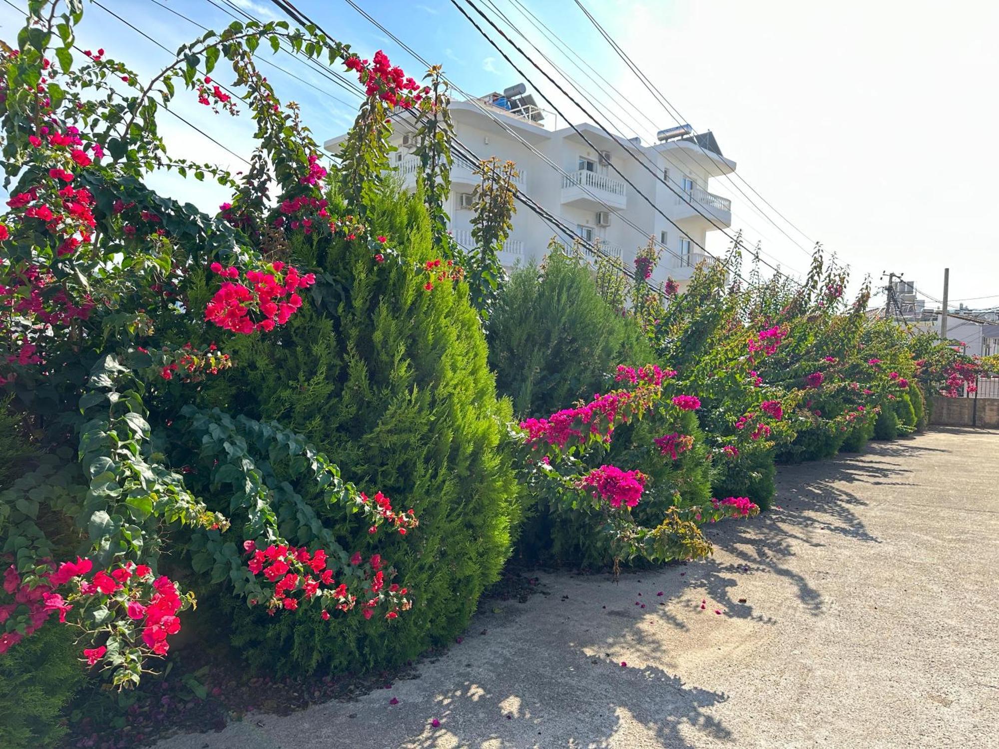 Nicolaos * Ksamil